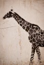 Giraffe graffiti Royalty Free Stock Photo