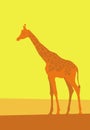 Giraffe. Graphic image of a single giraffe in the African bush. Royalty Free Stock Photo