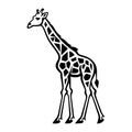 Giraffe head black outline art. Wild animal mascot vector illustration. Royalty Free Stock Photo