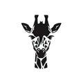 Giraffe Head Icon, Minimal Giraffe Portrait, Africa Animal Royalty Free Stock Photo