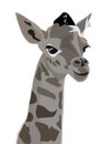 Giraffe head isolated on white background. Royalty Free Stock Photo