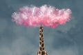 Giraffe Head in Pink Clouds. Creative Unusual Collage. Concept of Romantic Person Dont Want To Live in Real World.