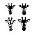 Giraffe head silhouette Royalty Free Stock Photo
