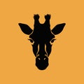 Giraffe head silhouette looking forward on yellow background Royalty Free Stock Photo