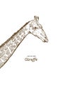 Giraffe head sketch set. Royalty Free Stock Photo