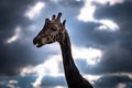 Giraffe head, sky background. Royalty Free Stock Photo