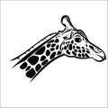 Giraffe head 2