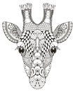 Giraffe head zentangle stylized, vector illustration, freehand p