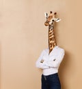 Giraffe headed woman dressed up in office style Royalty Free Stock Photo