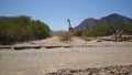 Giraffe at Hoanib riverbed Royalty Free Stock Photo