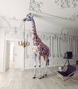 The giraffe hold the chandelier Royalty Free Stock Photo