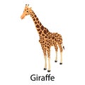 Giraffe icon, isometric style