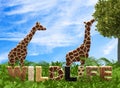 Giraffe illustration created from animal fur pattern