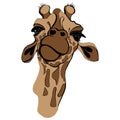 Giraffe illustration. Cute giraffe in brown colors, portrait of giraffe