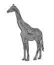 A giraffe illustration icon in black offset line. Fingerprint st