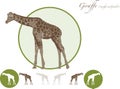 Giraffe illustration logo