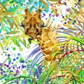 giraffe illustration.Tropical exotic forest, green leaves, wildlife, giraffe, watercolor illustration.