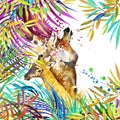 Giraffe illustration. Tropical exotic forest, green leaves, wildlife, giraffe, watercolor illustration.