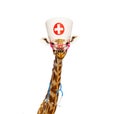 Giraffe kids doctor with stethoscope and glasses Royalty Free Stock Photo