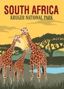 Giraffe in kruger national park, south Africa illustration best for travel poster