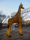 Giraffe Osaka Kansai Japan Travel