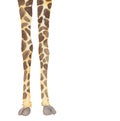 Giraffe legs, Animal part watercolor hand drawn illustration Royalty Free Stock Photo