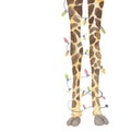 Giraffe legs with garland decoration, Animal party watercolor hand drawn illustration