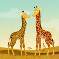 Giraffe in love Royalty Free Stock Photo