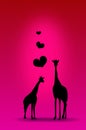Giraffe love illustration