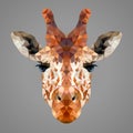 Giraffe low poly portrait