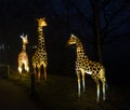 Giraffe made from paper and lights