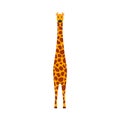 Giraffe mammal vector icon front view. Animal character cute brown safari symbol. Africa yellow herbivore