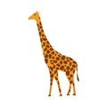 Giraffe mammal vector icon side view. Animal character cute brown safari symbol. Africa yellow herbivore