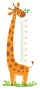 Giraffe meter wall