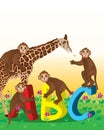 Giraffe monkey love abc cover Royalty Free Stock Photo