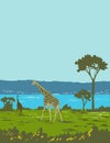 Giraffe in Murchison Falls National Park Uganda Africa Art Deco WPA Poster Art