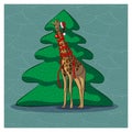 Giraffe near the Christmas tree