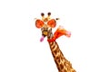 Giraffe in orange sunglasses and scarf