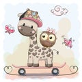 Giraffe and owl