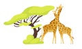 Giraffe pair flat color vector illustration Royalty Free Stock Photo