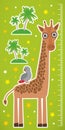 Giraffe parrot bird and palms on green background Children height meter wall sticker. Vector