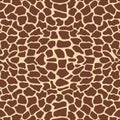 Giraffe pattern Royalty Free Stock Photo
