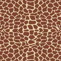 Giraffe pattern Royalty Free Stock Photo