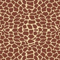 Giraffe pattern