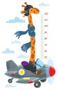 Giraffe on plane. Meter wall or height chart Royalty Free Stock Photo