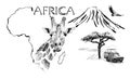 Giraffe Portrait On Africa Map Background With Kilimanjaro Mountain, Vulture And Car