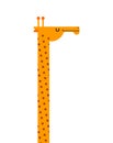 Giraffe portrait isolated. Wild animal. Beast long neck. Vector