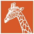 Giraffe Portrait Vector Illustration