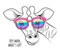 Giraffe in a rainbow glasses funny poster