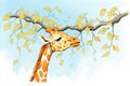 a giraffe reaching up to eat leaves from a tree